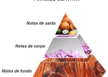 O que tem nos perfumes e quanto duram as notas