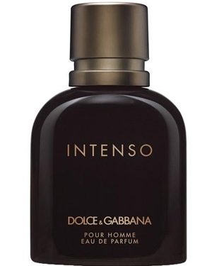 Dolce & Gabbana Homme Intenso Eau Parfum em Perfumes Dolce & Gabbana Homme Intenso Eau Parfum