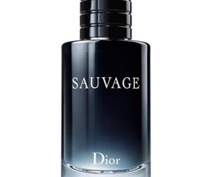 Christian Dior Sauvage Eau Toilette