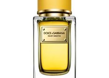 Dolce & Gabbana Velvet Ginestra