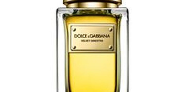 Dolce & Gabbana Velvet Ginestra em Perfumes Dolce & Gabbana Velvet Ginestra