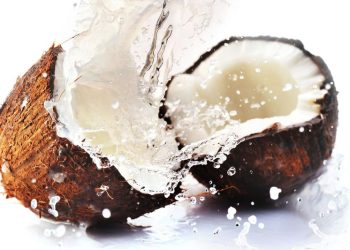 Fragrâncias com Notas de Coco