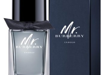 MR BURBERRY INDIGO EAU TOILETTE