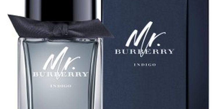 MR BURBERRY INDIGO EAU TOILETTE em Perfumes MR BURBERRY INDIGO EAU TOILETTE