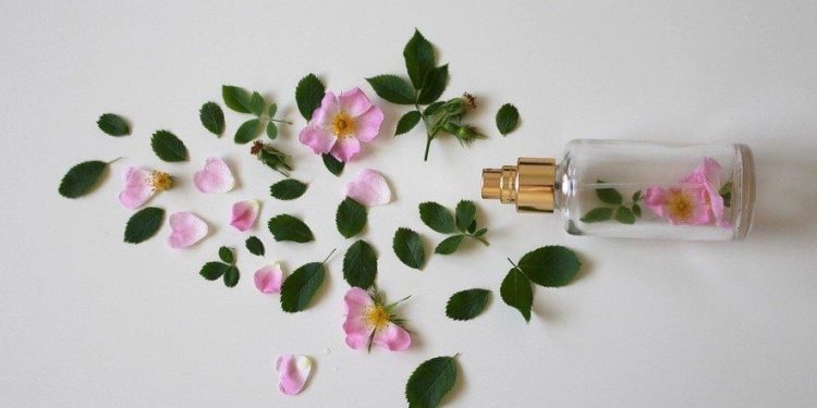 Como escolher o perfume que combina consigo? em Curiosidades Como escolher o perfume que combina consigo?
