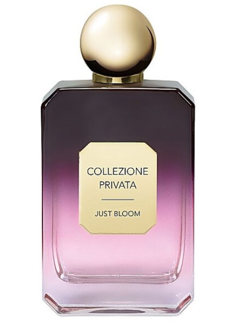 Top das melhores fragrâncias femininas em 2023 em Perfumes Top das melhores fragrâncias femininas em 2023