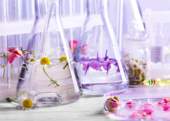 Psicologia dos Perfumes: Como as Fragrâncias Influenciam o Nosso Bem-Estar Emocional