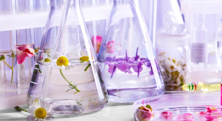 Psicologia dos Perfumes: Como as Fragrâncias Influenciam o Nosso Bem-Estar Emocional