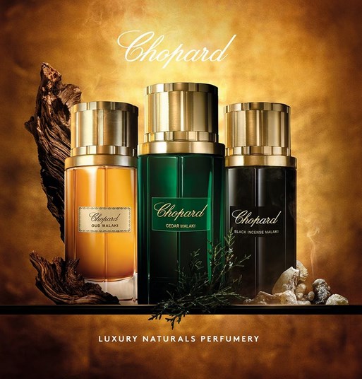 Leather Malaki Chopard Eau Parfum Masculino em Perfumes chopard malaki collection