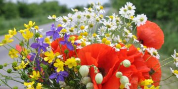 Flores para o Dia da Mãe: Descubra as combinações mais bonitas para este dia