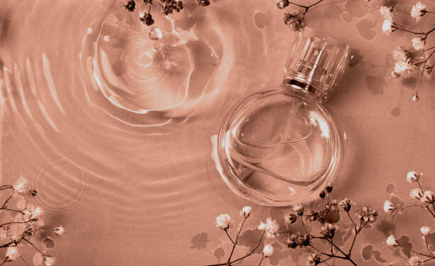 Top 10 Perfumes Femininos
