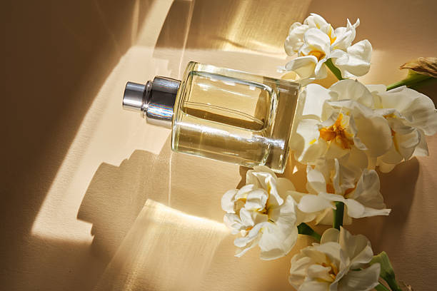 Top 8 Melhores Perfumes de Inverno em Noticias perfumes de inverno