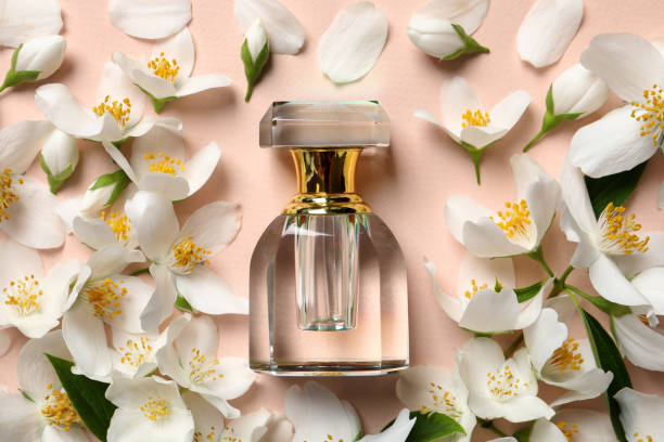 Perfumes baratos e bons para o dia a dia em Perfumes Perfumes baratos e bons para o dia a dia